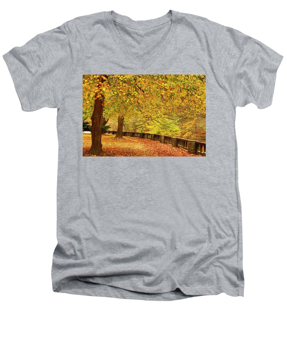 Robert H. Treman State Park Men's V-Neck T-Shirt featuring the photograph Shrouded in Gold by Hany J