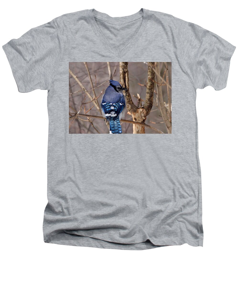 Outdoor Men's V-Neck T-Shirt featuring the photograph Shy Blue Jay by David Porteus