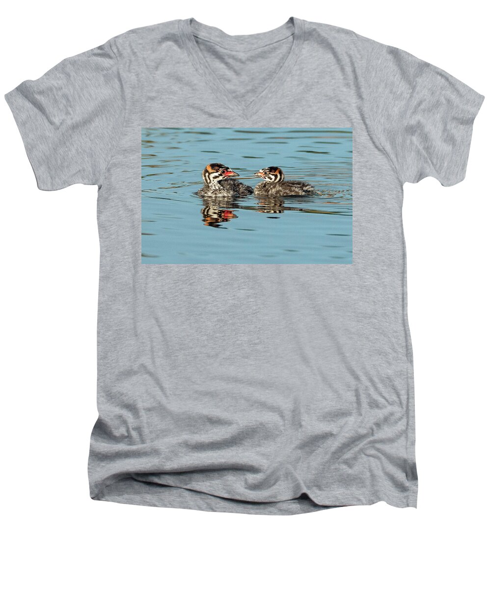 Pied-billed Grebes Men's V-Neck T-Shirt featuring the photograph Siblings by Tam Ryan