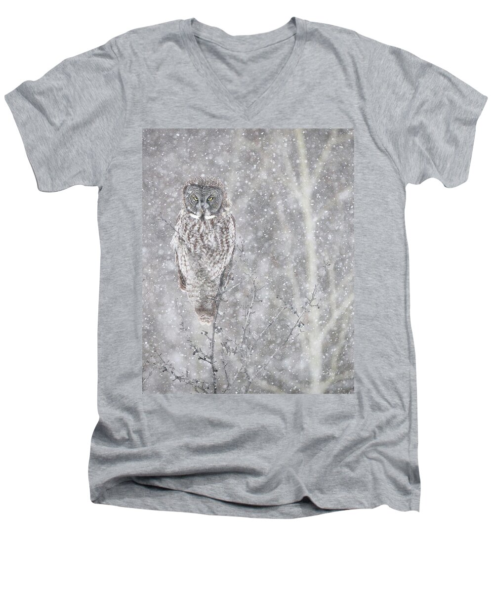 Owl Men's V-Neck T-Shirt featuring the photograph Silent Snowfall Portrait by Everet Regal