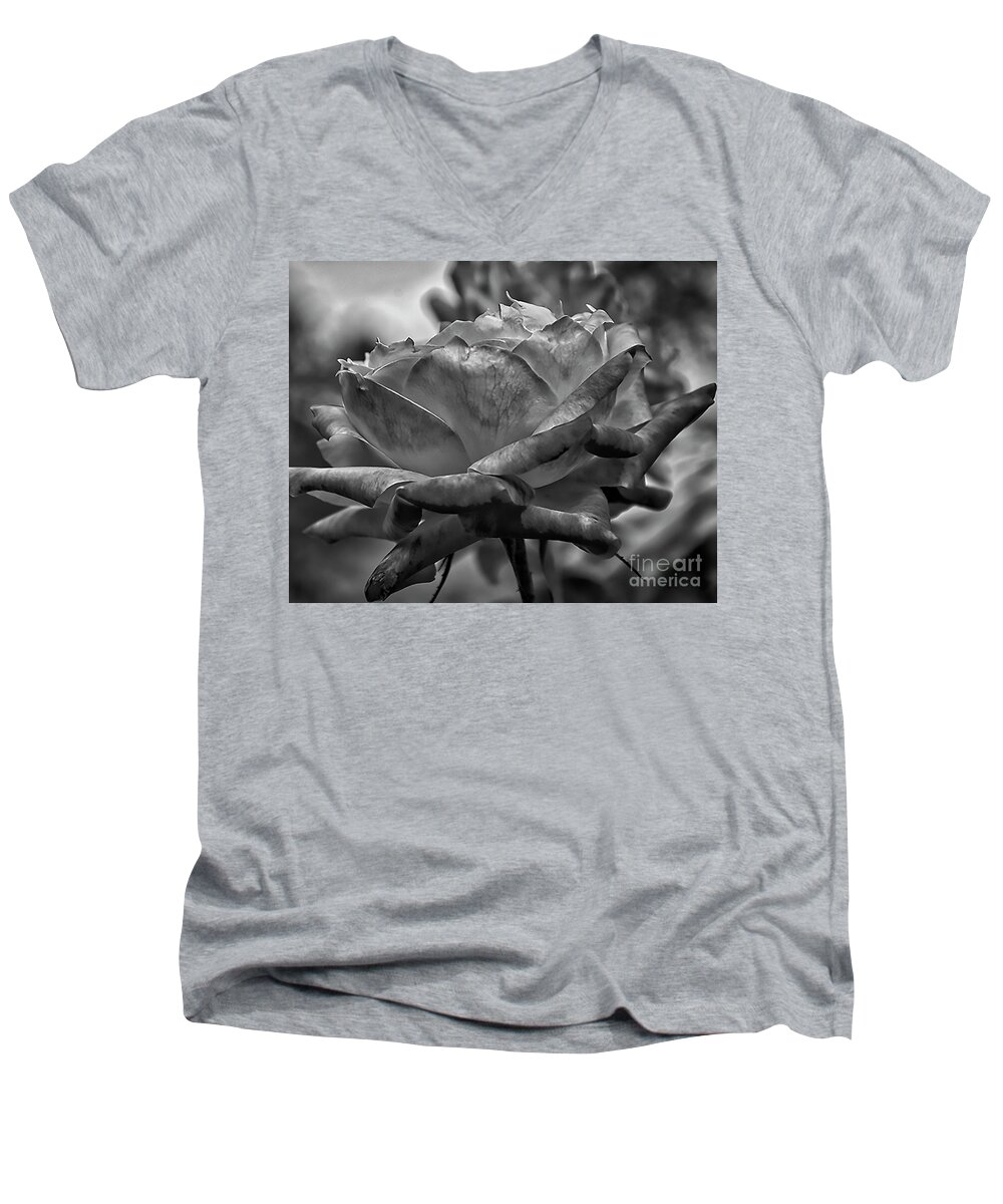 Rose-blooms Men's V-Neck T-Shirt featuring the photograph Silk Curl by Kirt Tisdale