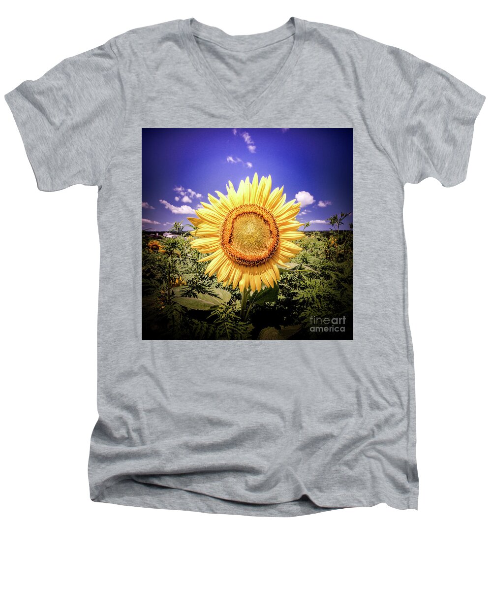 Single Men's V-Neck T-Shirt featuring the photograph Single Sunflower by Jim DeLillo
