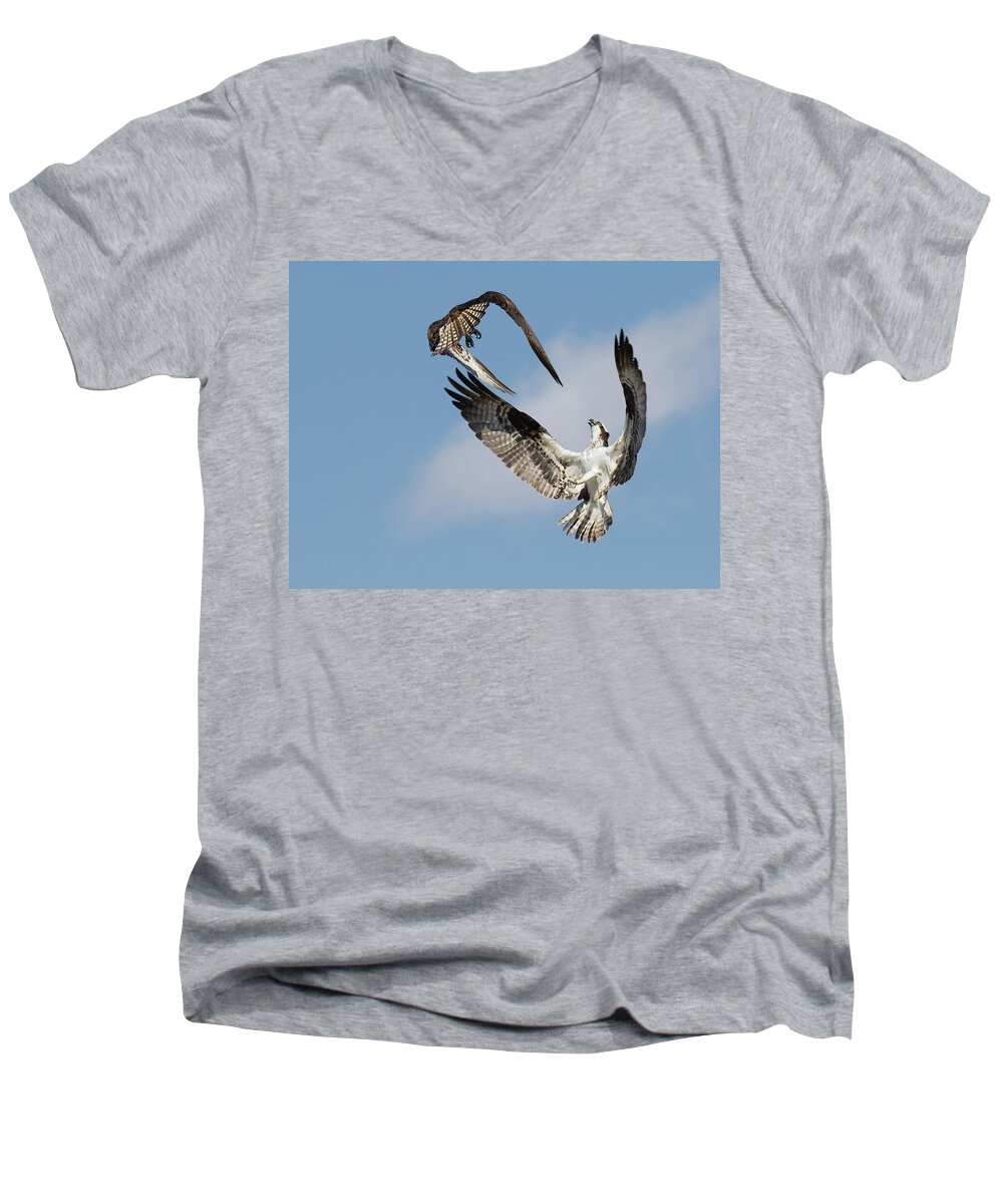 Osprey Men's V-Neck T-Shirt featuring the photograph Sky Duel by Art Cole