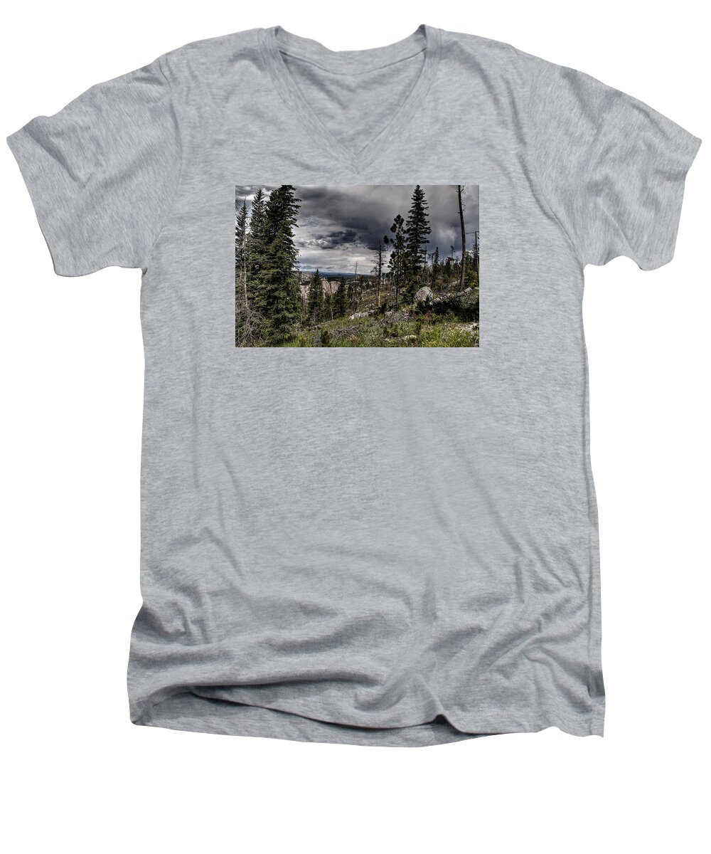 Nature Men's V-Neck T-Shirt featuring the photograph Sky-high by Deborah Klubertanz