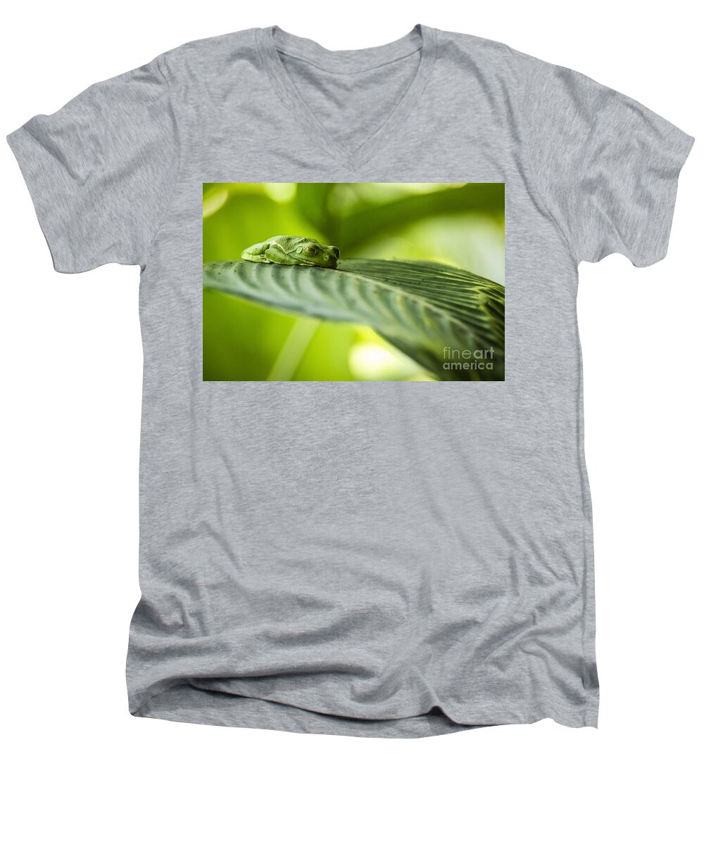 Tree Frog Men's V-Neck T-Shirt featuring the photograph Sleeeepy by Joann Long