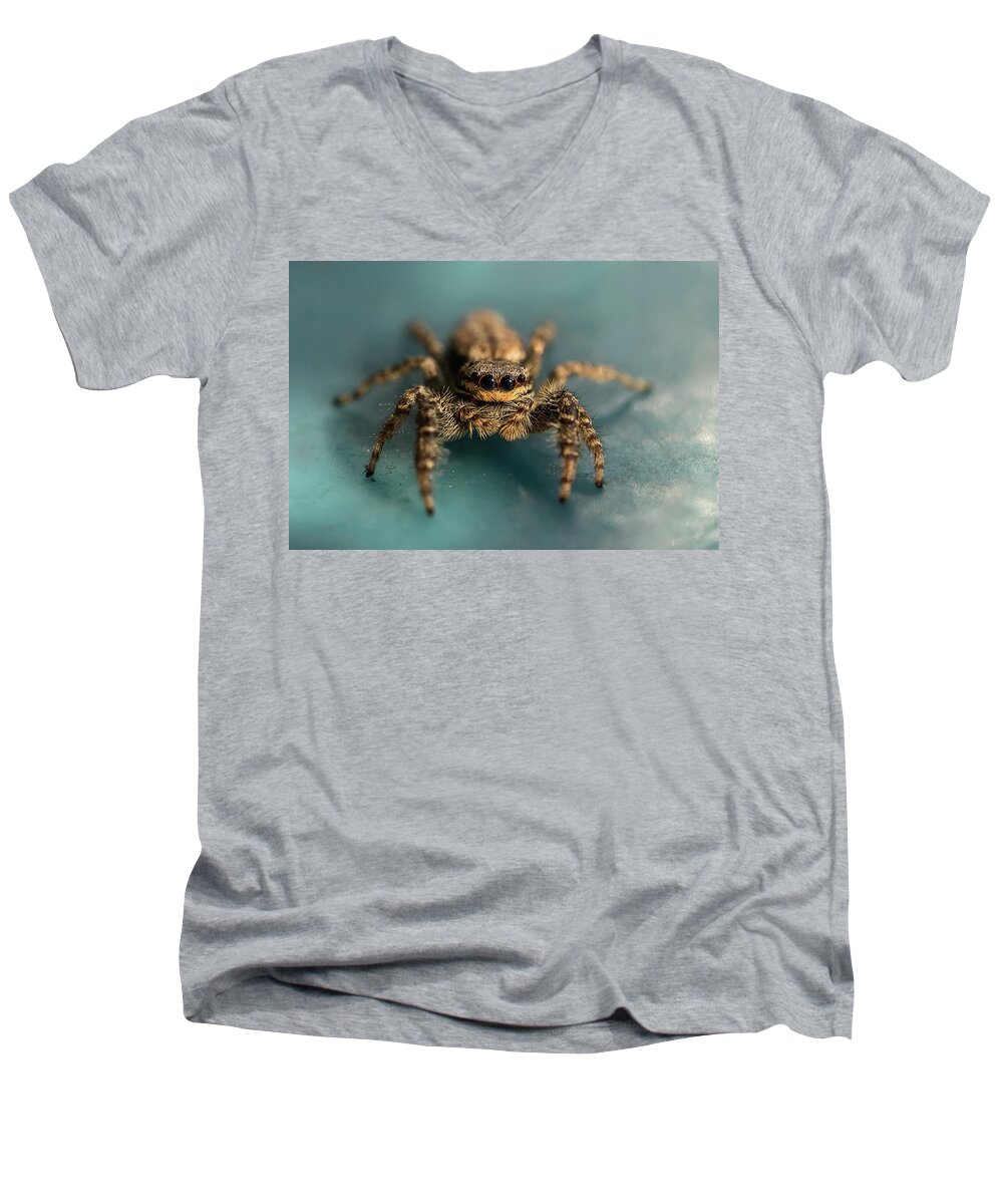 Insect Men's V-Neck T-Shirt featuring the photograph Small jumping spider by Jaroslaw Blaminsky