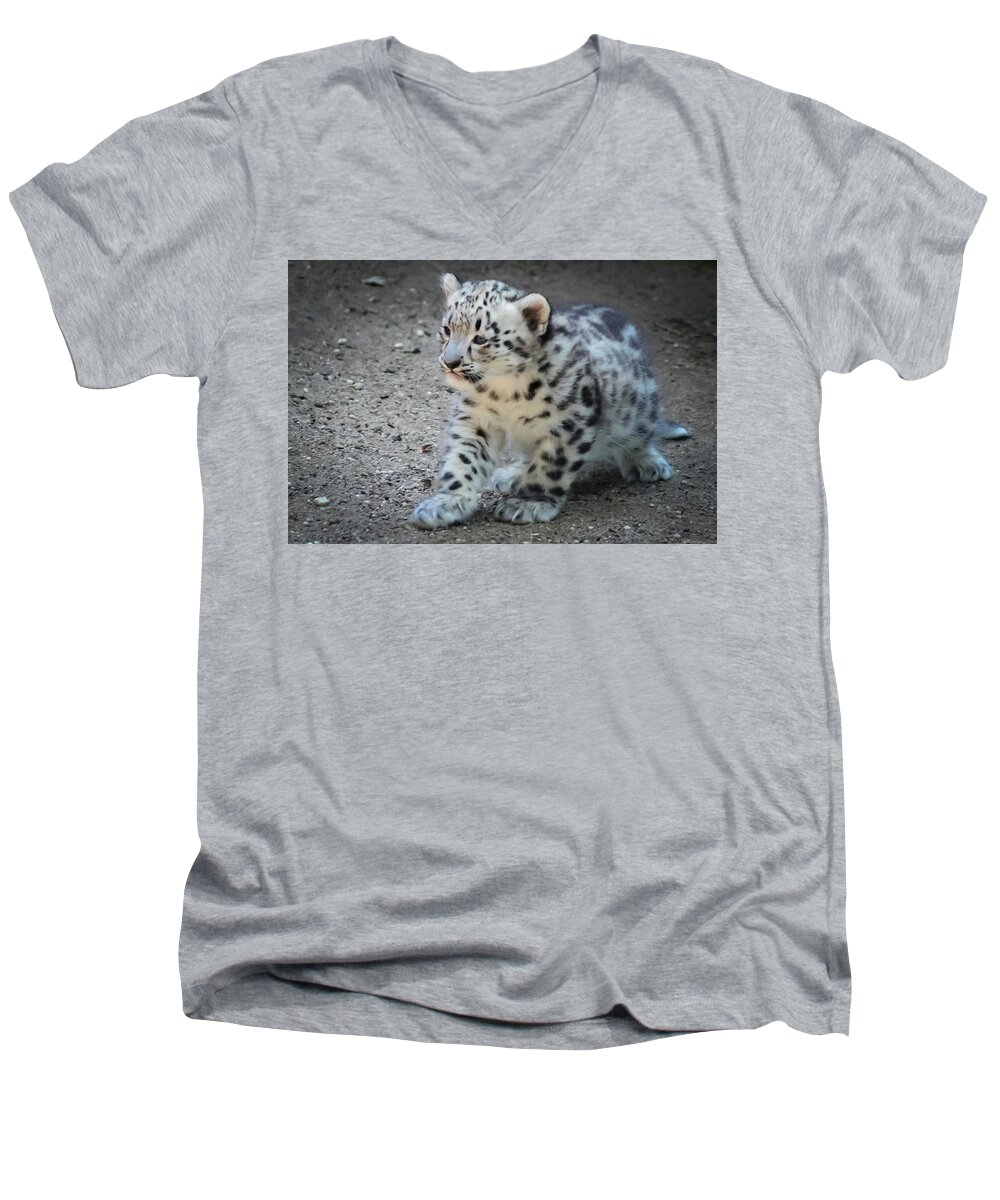 Terry D Photography Men's V-Neck T-Shirt featuring the photograph Snow Leopard Cub by Terry DeLuco