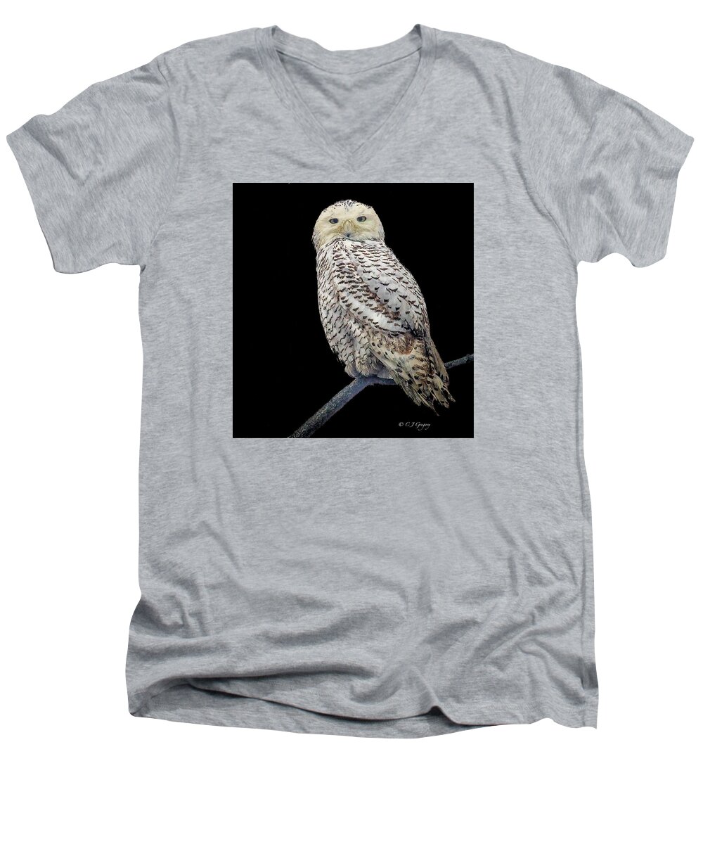 Snowy Owl Men's V-Neck T-Shirt featuring the photograph Snowy Owl On Black by Constantine Gregory