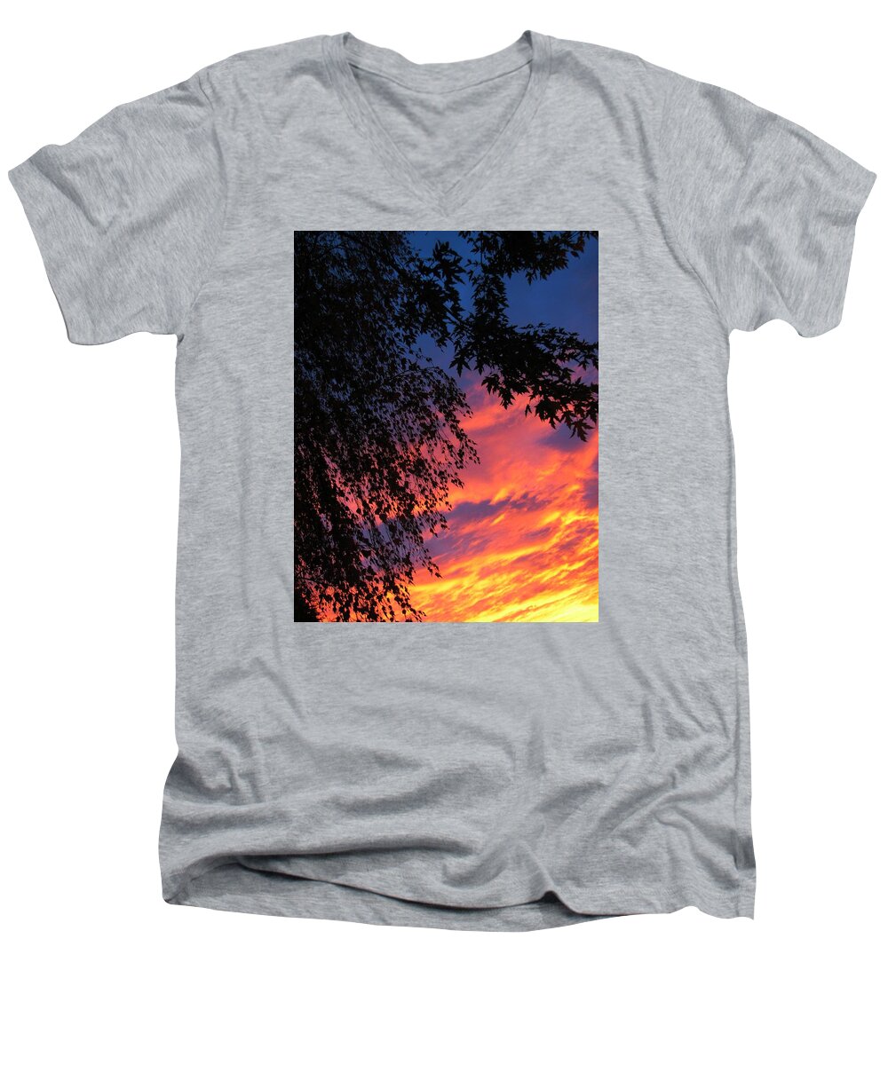 Tree Men's V-Neck T-Shirt featuring the photograph Sorrow by Chris Dunn