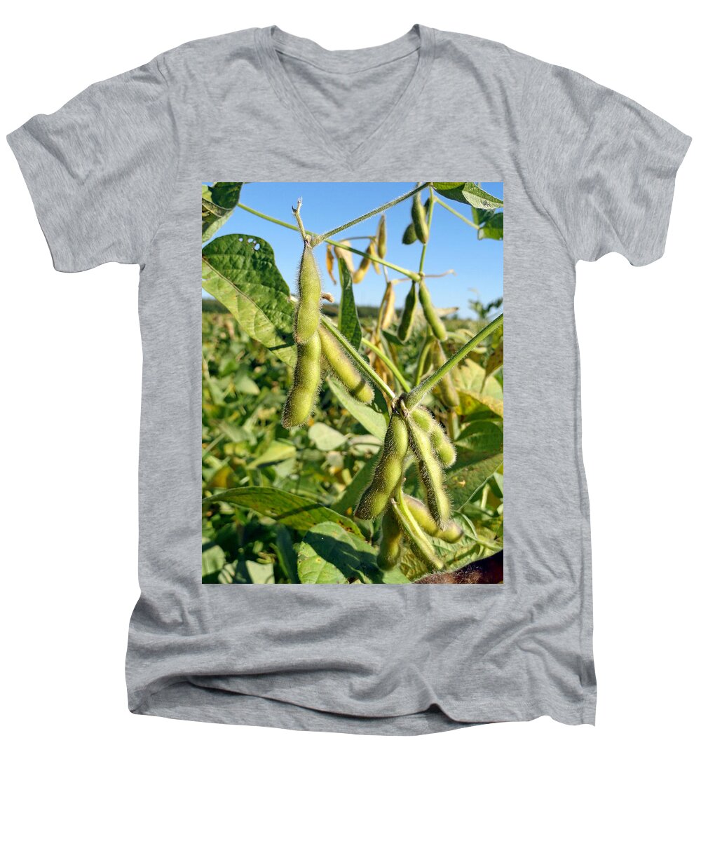 Soybeans Men's V-Neck T-Shirt featuring the photograph Soybeans in Autumn by Robert Meyers-Lussier