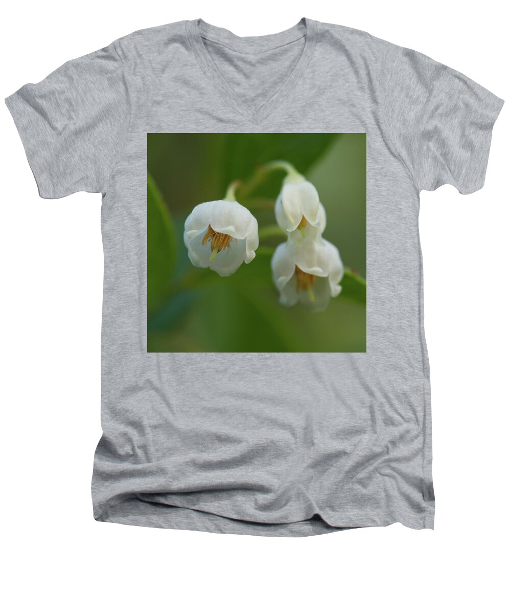 Vaccinium Arboreum Men's V-Neck T-Shirt featuring the photograph Sparkleberry Trio by Paul Rebmann