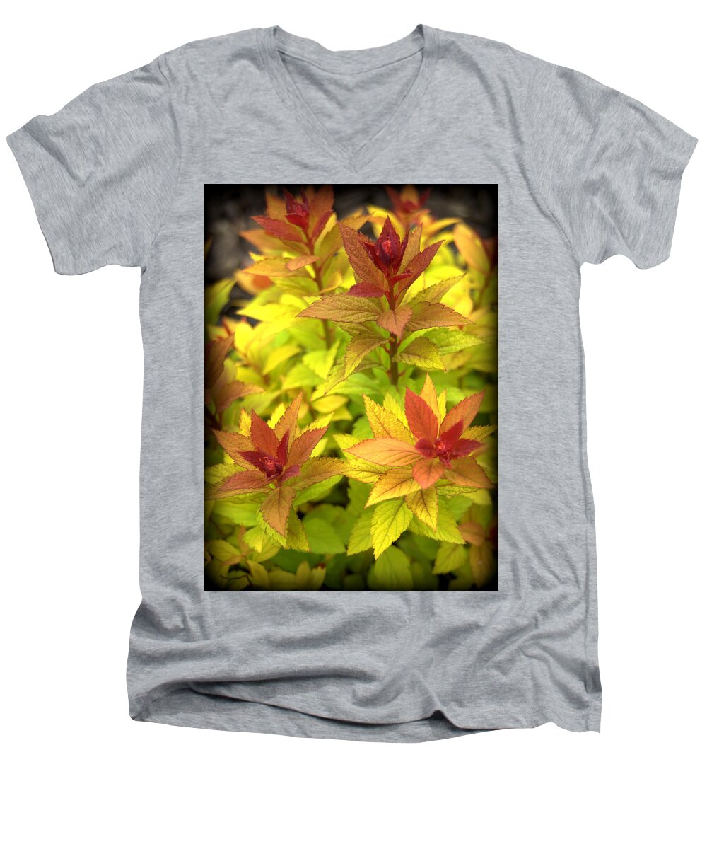 Plant Men's V-Neck T-Shirt featuring the photograph Spirea Foliage by Nathan Abbott