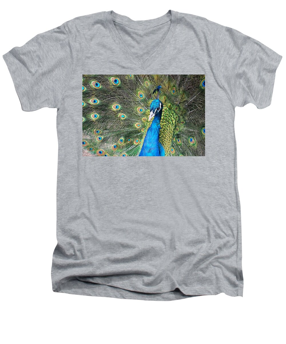 Peacock Men's V-Neck T-Shirt featuring the photograph Spiritual Eye by Julia Ivanovna Willhite