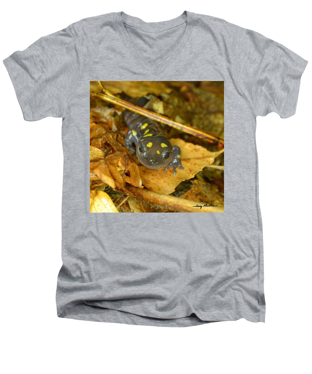Nature Men's V-Neck T-Shirt featuring the photograph Spotted Salamander by Harry Moulton