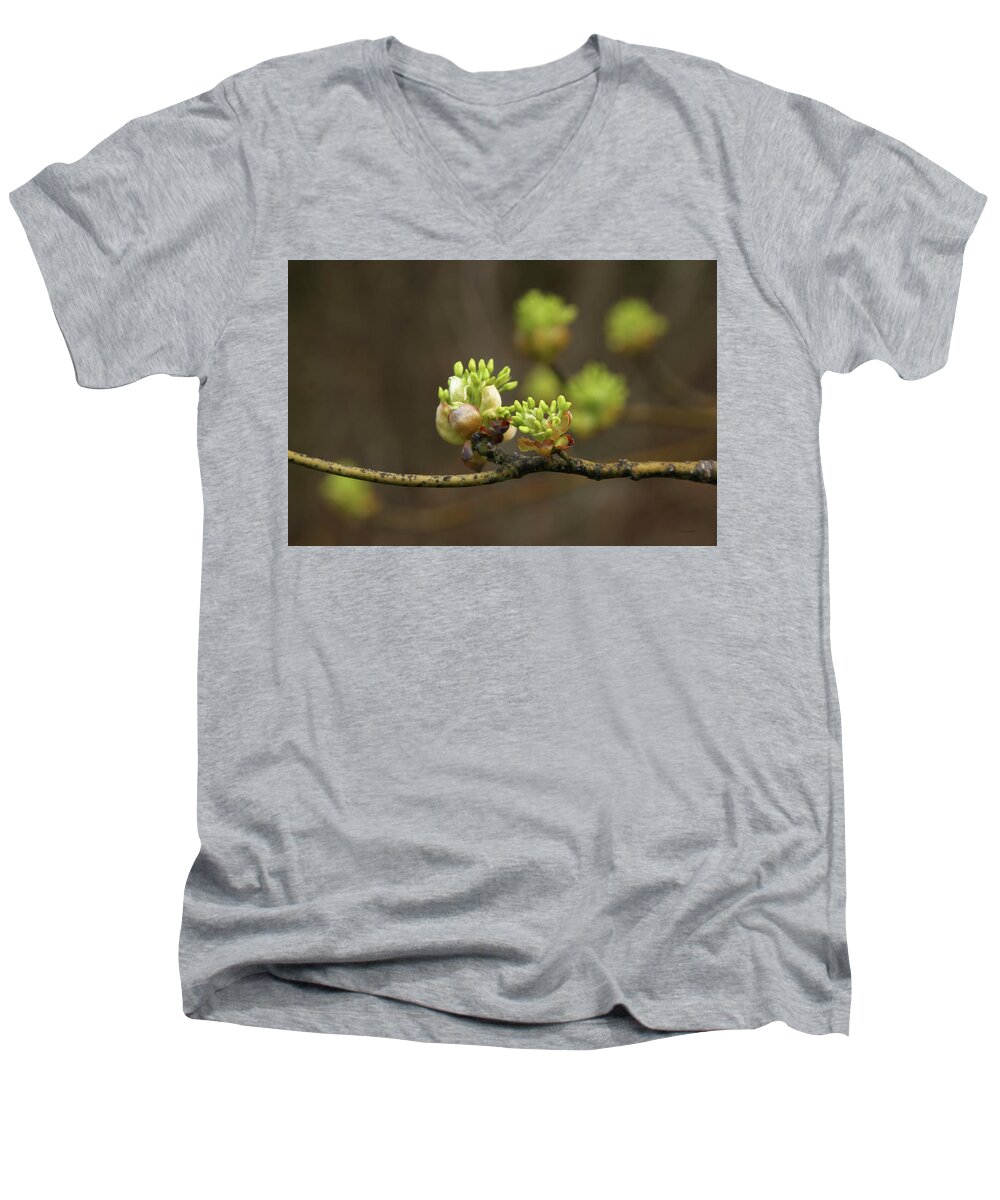 Spring Buds Men's V-Neck T-Shirt featuring the photograph Spring Buds 9365 H_2 by Steven Ward