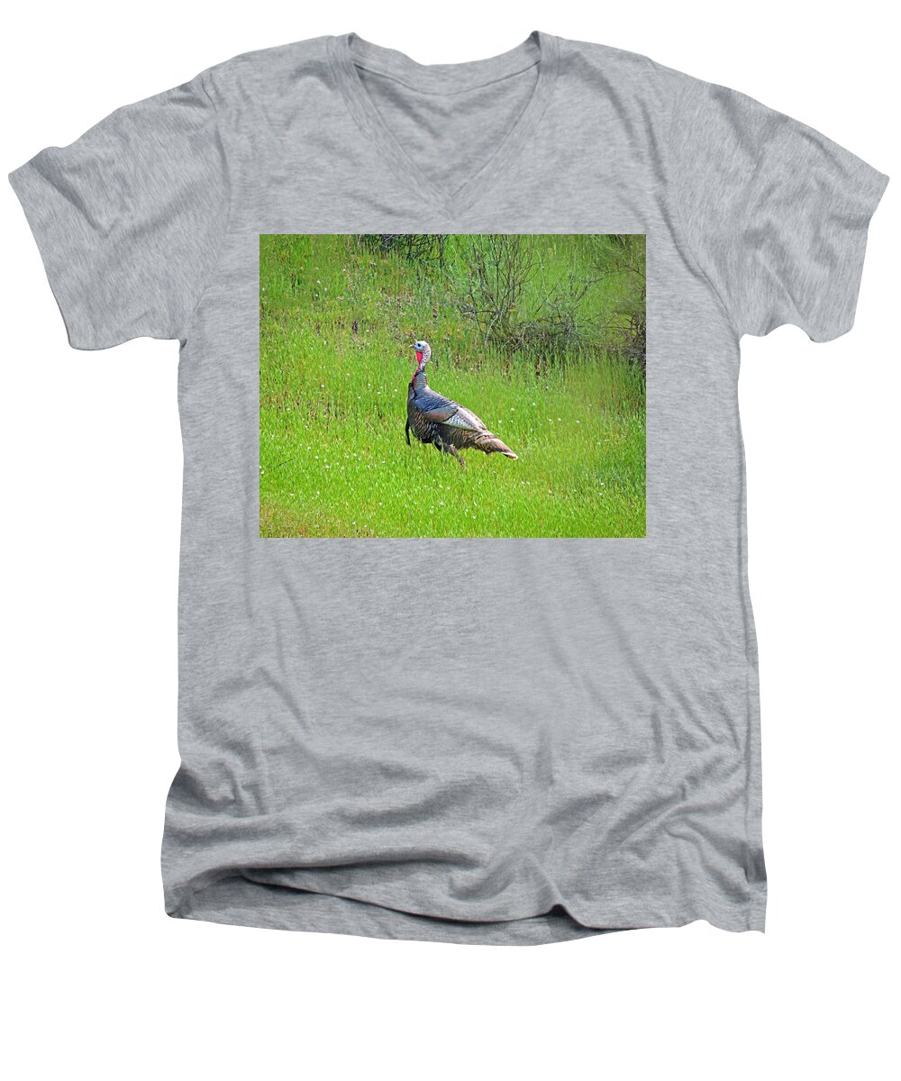 Turkey Men's V-Neck T-Shirt featuring the photograph Spring Turkey Gobbler by L J Oakes