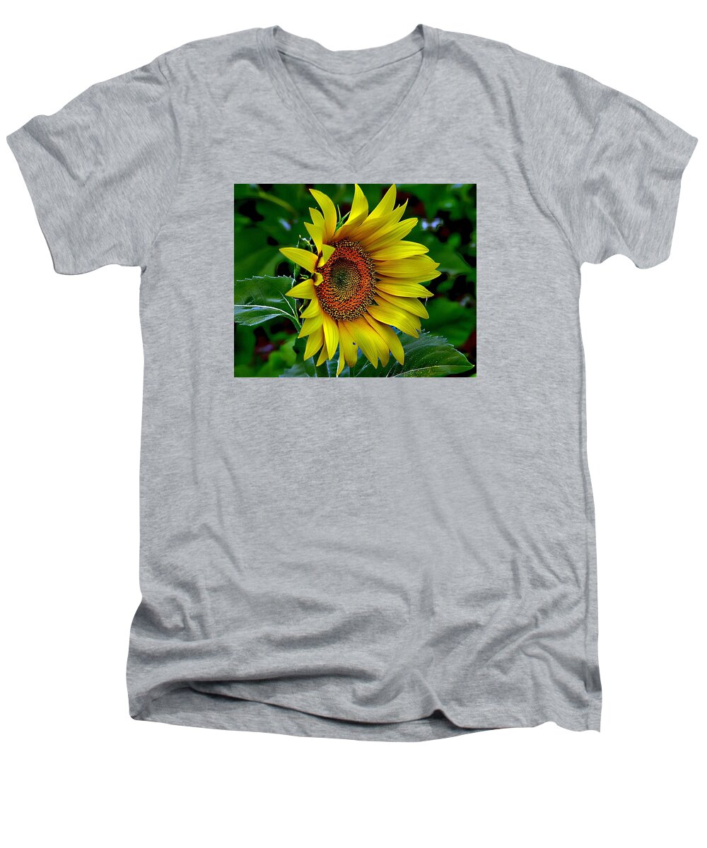 Single Sunflower Men's V-Neck T-Shirt featuring the photograph Straight Up Sunflower by Karen McKenzie McAdoo