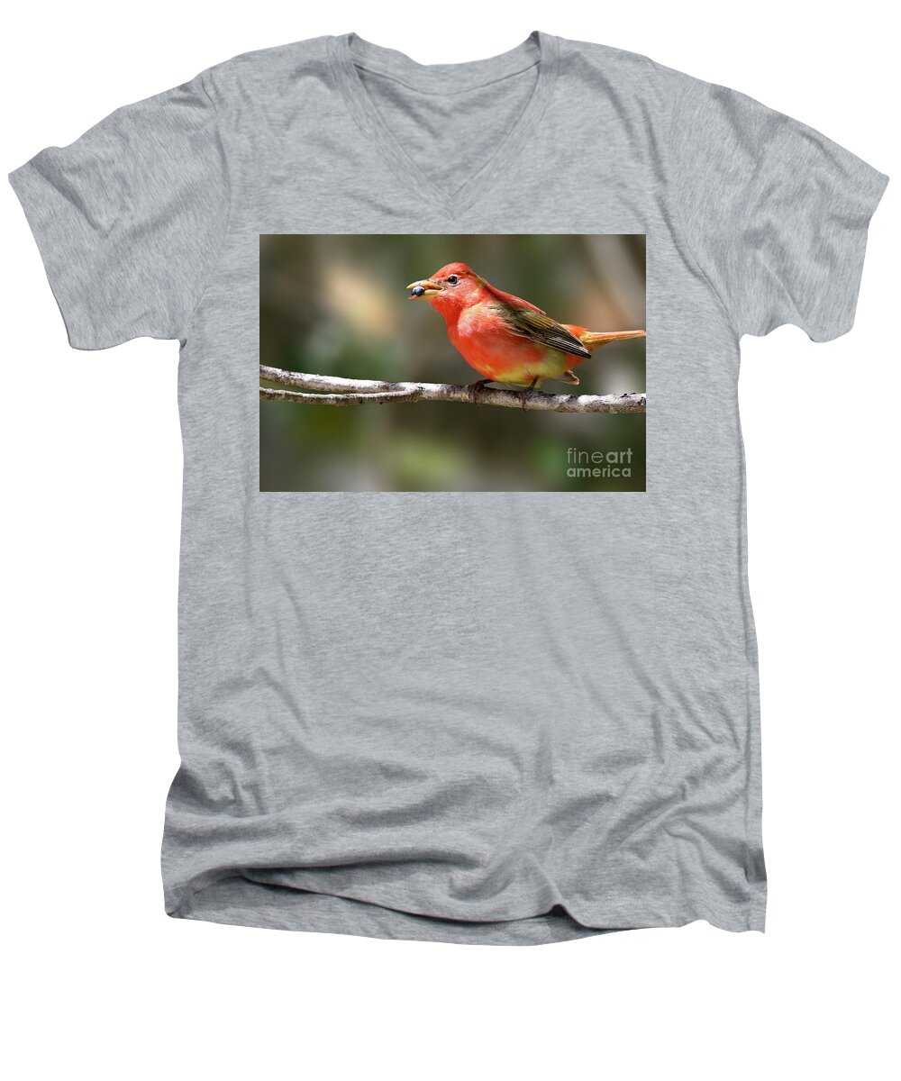 Summer Tanager Men's V-Neck T-Shirt featuring the photograph Stuffed Summer Tanager by Meg Rousher
