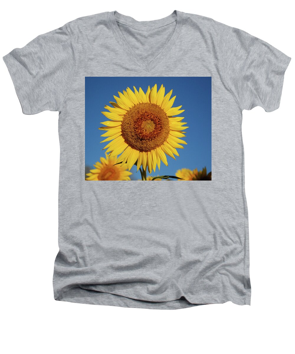 Sunflower Men's V-Neck T-Shirt featuring the photograph Sunflower and Blue Sky by Nancy Landry
