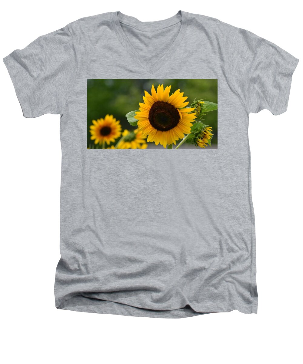 Flowers Men's V-Neck T-Shirt featuring the photograph Sunflower Group by Eileen Brymer