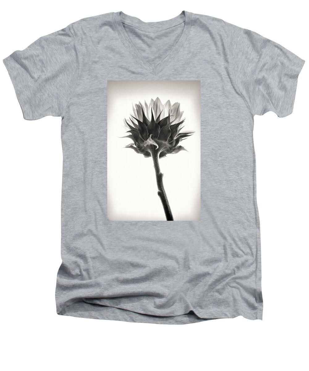 Sunflower Men's V-Neck T-Shirt featuring the photograph Sunflower by John Hansen