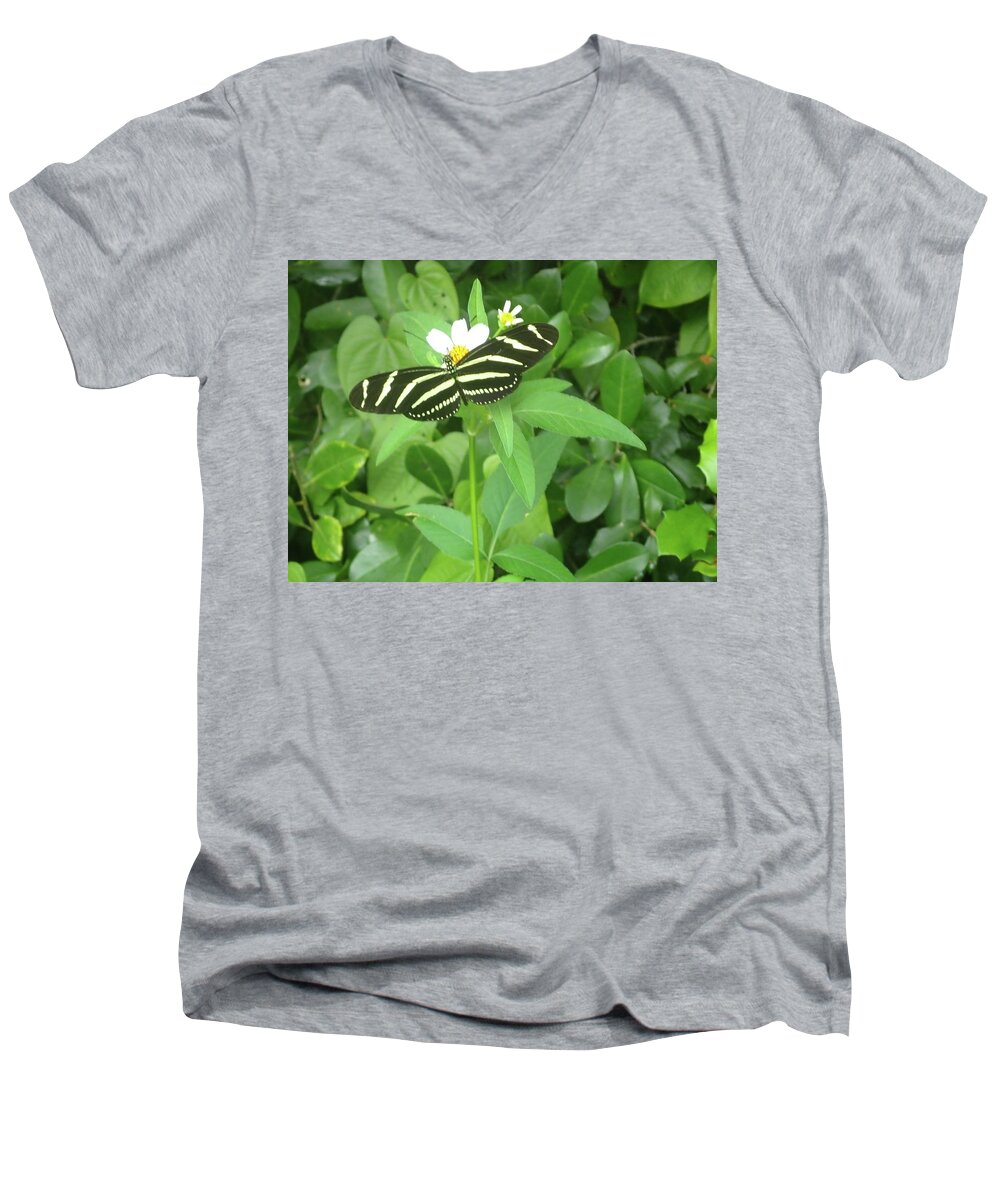 Nature Men's V-Neck T-Shirt featuring the photograph Swallowtail Butterfly on Leaf by Denise Cicchella