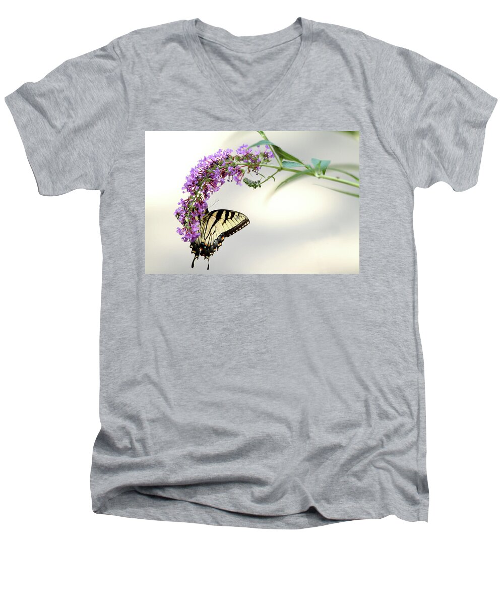 Butterfly Men's V-Neck T-Shirt featuring the photograph Swallowtail on purple flower by Emanuel Tanjala