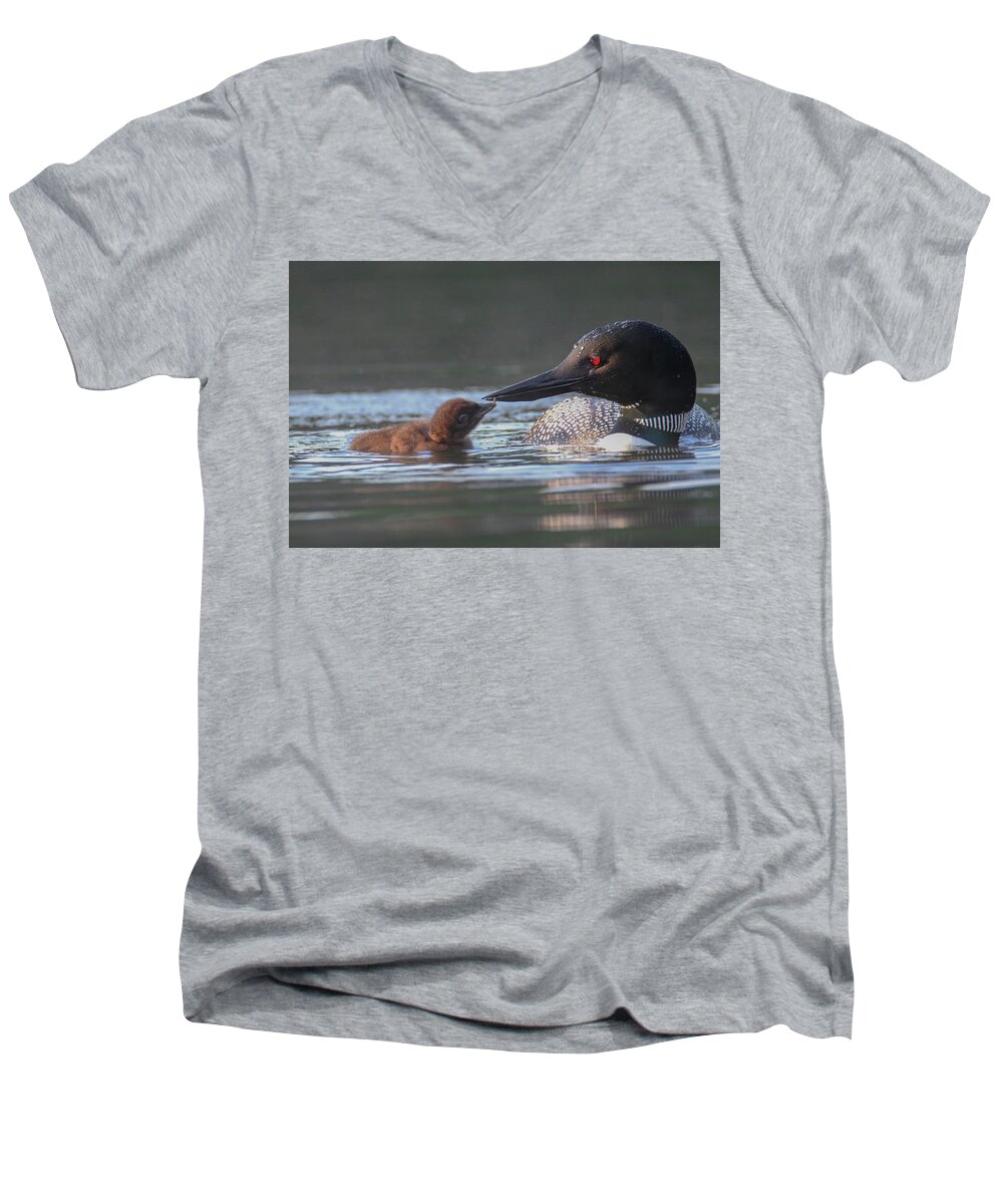 Loon Men's V-Neck T-Shirt featuring the photograph Tender Moment by Brook Burling