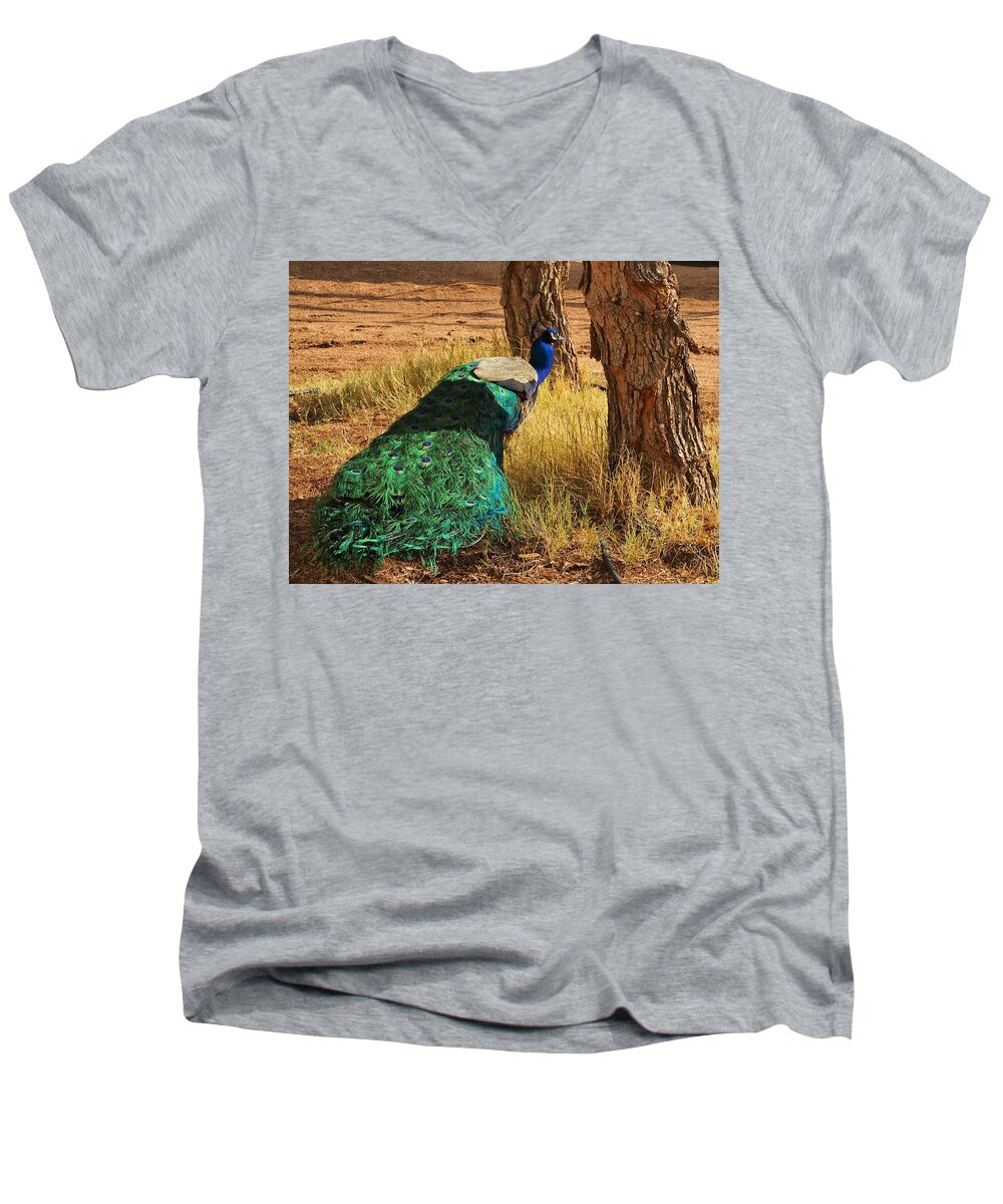 Animal Men's V-Neck T-Shirt featuring the photograph The Boss by Richard Thomas