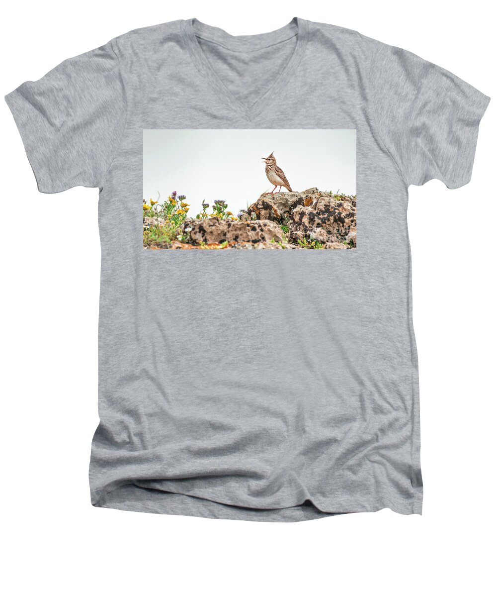 Bird Men's V-Neck T-Shirt featuring the photograph The call by Arik Baltinester