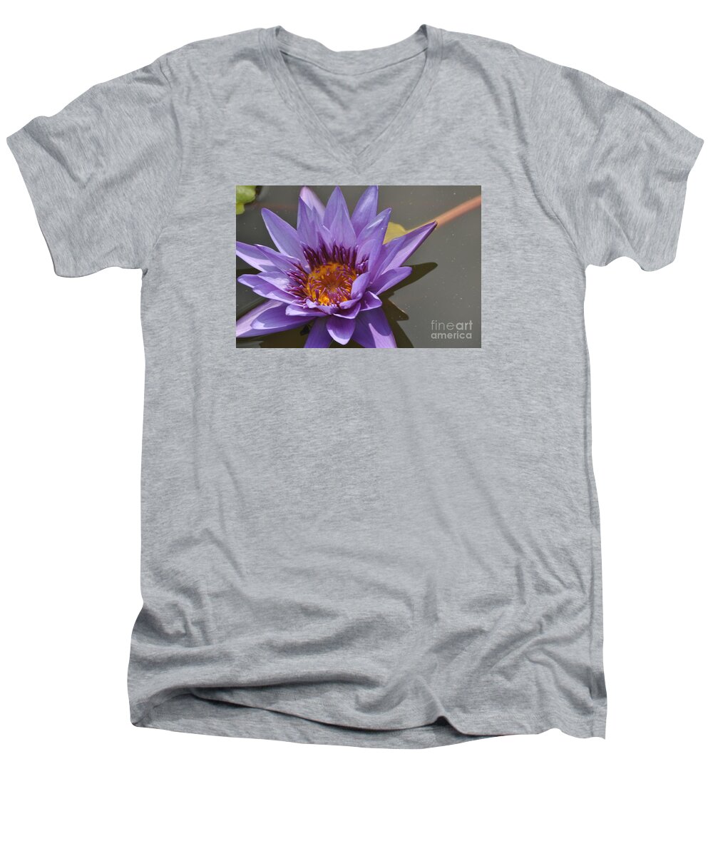 Water Lily Men's V-Neck T-Shirt featuring the photograph The Color Purple by Nona Kumah