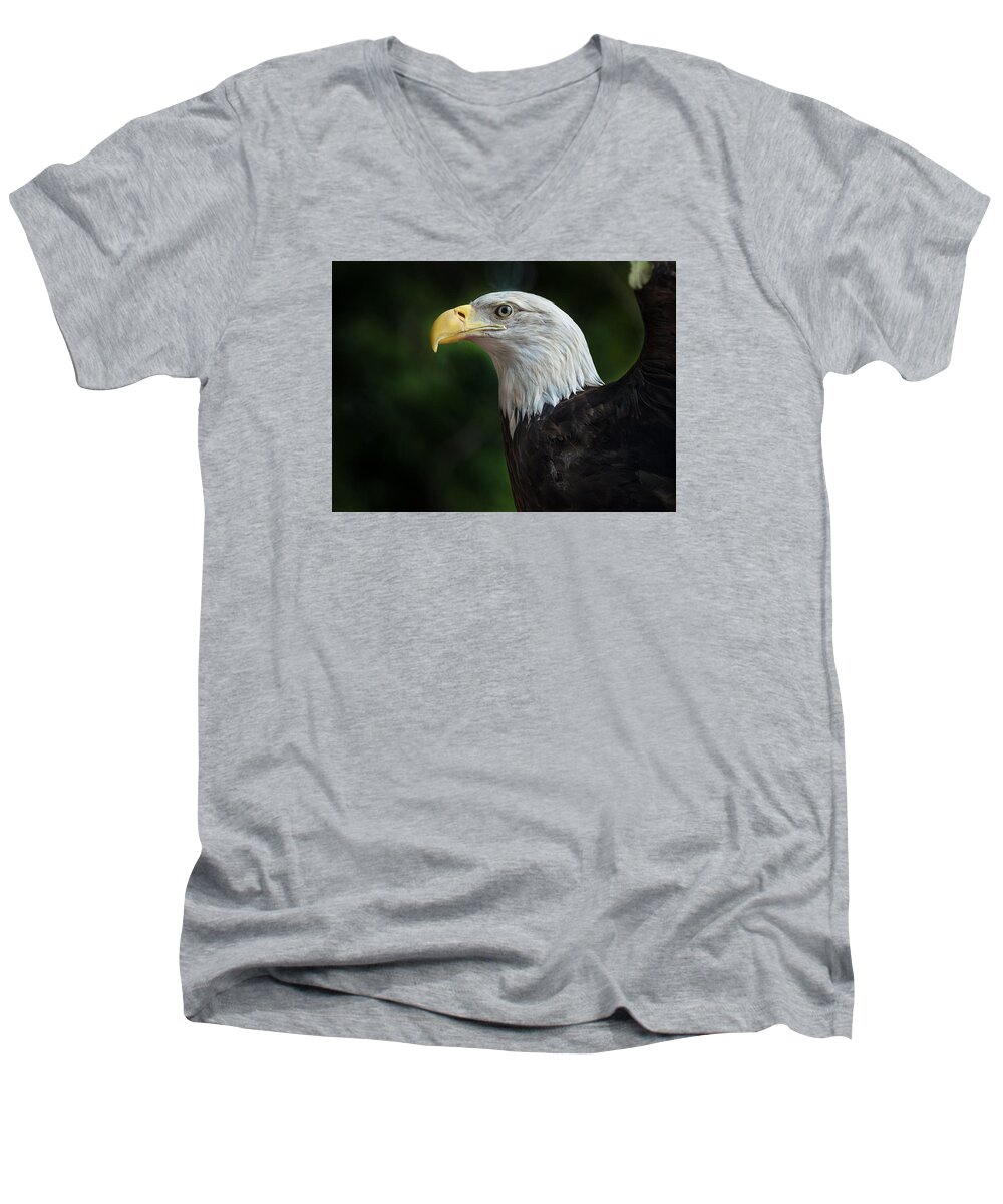 Bald Eagle Men's V-Neck T-Shirt featuring the photograph The Eagle by Greg Nyquist