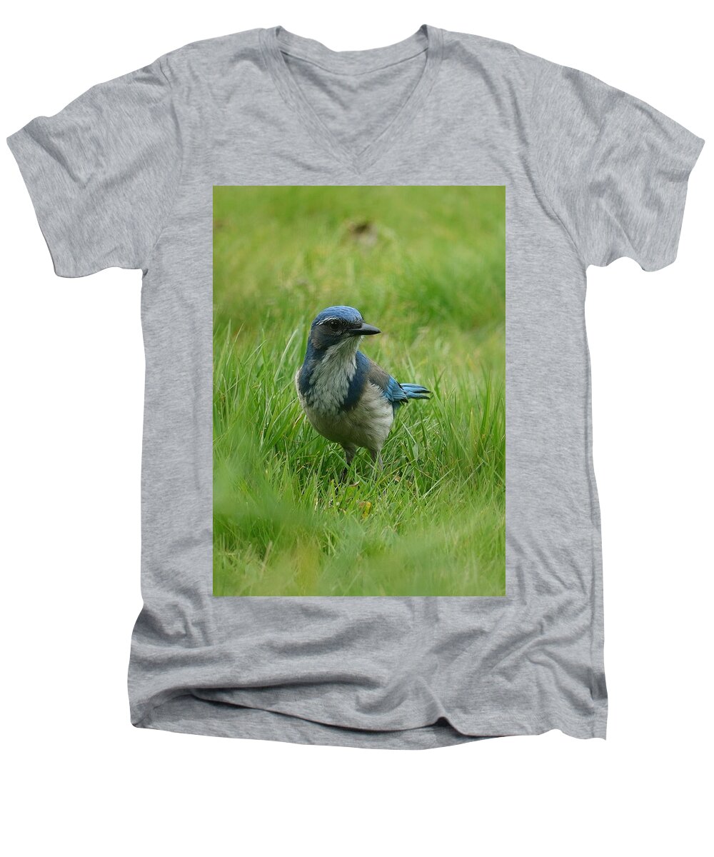 Scrub Jay Men's V-Neck T-Shirt featuring the photograph The Eye On Me by I'ina Van Lawick