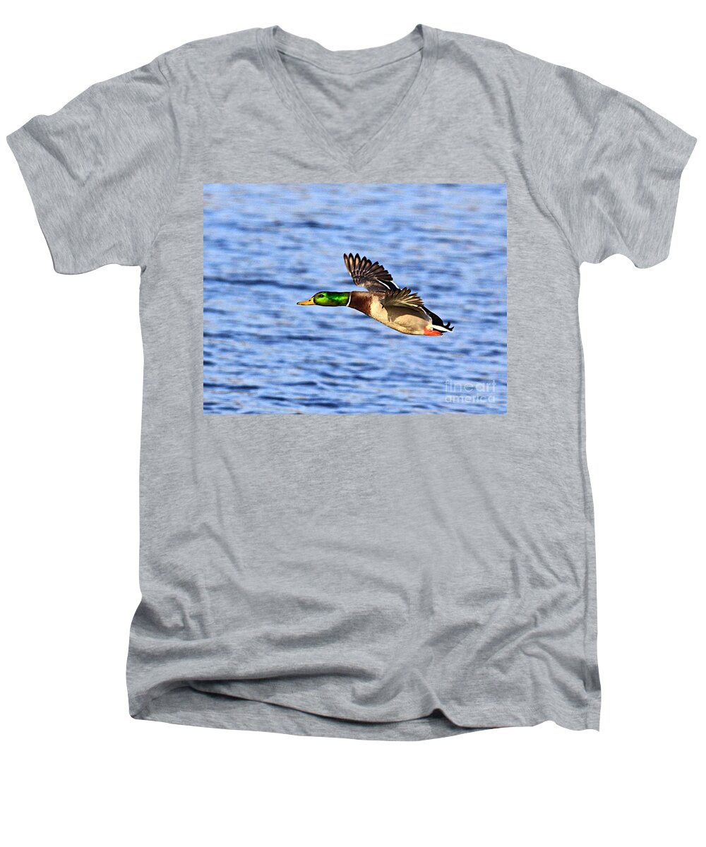 Bird Duck Water Flying Men's V-Neck T-Shirt featuring the photograph The fly by by Robert Pearson