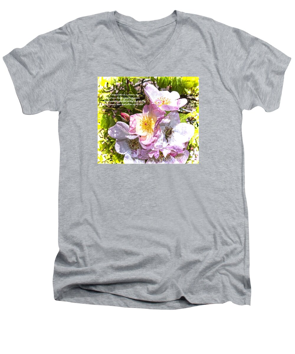 Rose Men's V-Neck T-Shirt featuring the photograph The Frailty of Summer Roses and of Love by Brenda Kean
