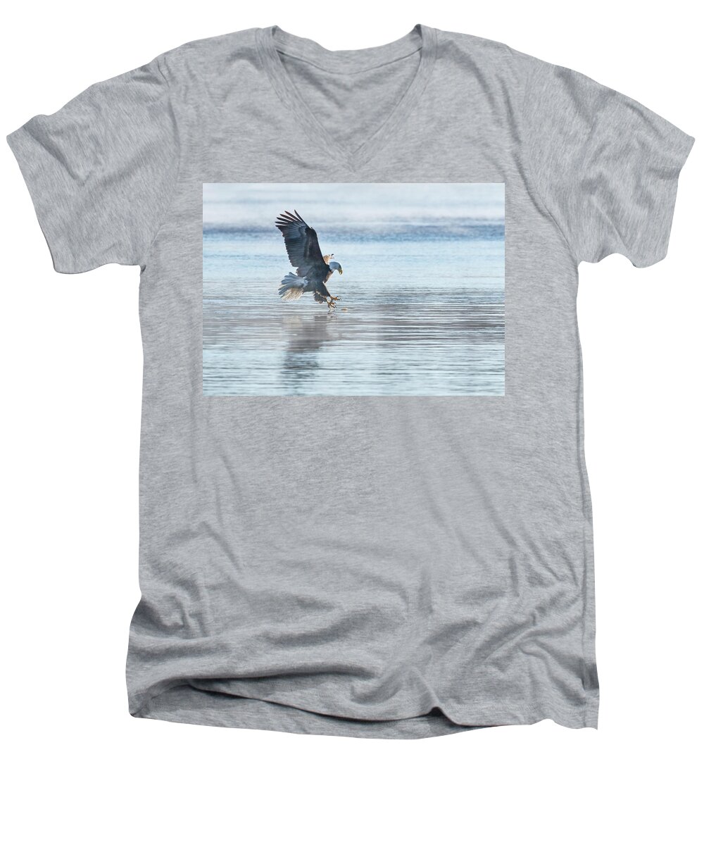 American Bald Eagle Men's V-Neck T-Shirt featuring the photograph The Great American Bald Eagle 2016-15 by Thomas Young