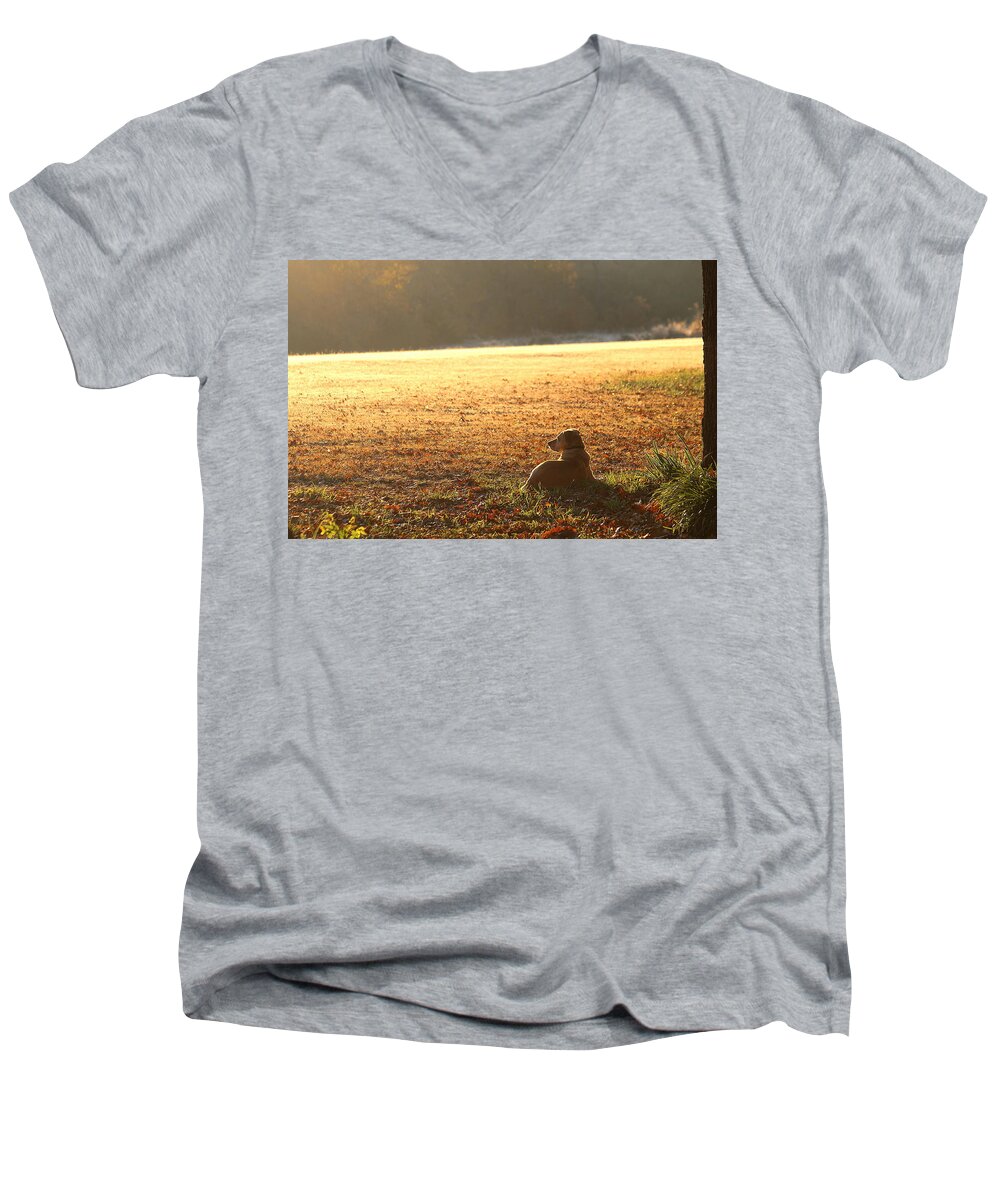 Animals Men's V-Neck T-Shirt featuring the photograph The Guardian by Sheila Brown
