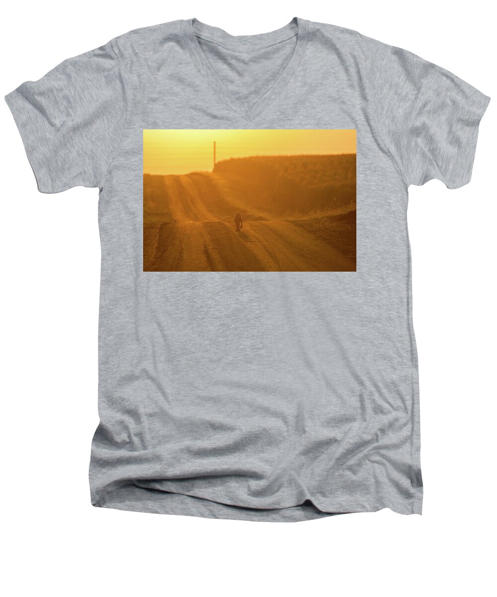 Lost Puppy Men's V-Neck T-Shirt featuring the photograph The Lost Puppy by Art Whitton