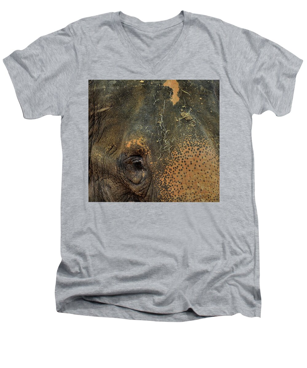 Elephant Men's V-Neck T-Shirt featuring the photograph The Matriarch by Nadalyn Larsen