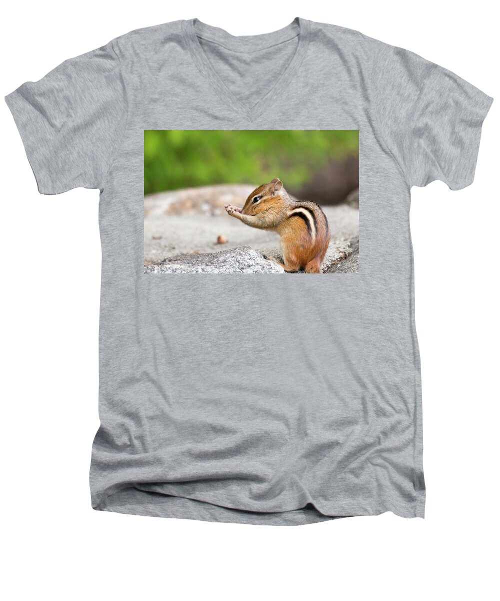 Chipmunk Prayer Praying Religious Rodent Cute Funny Outside Outdoors Nature Wildlife Wild Life Ma Mass Massachusetts Brian Hale Brianhalephoto Critter Furry Fuzzy Close Up Closeup Close-up Men's V-Neck T-Shirt featuring the photograph The Praying Chipmunk by Brian Hale