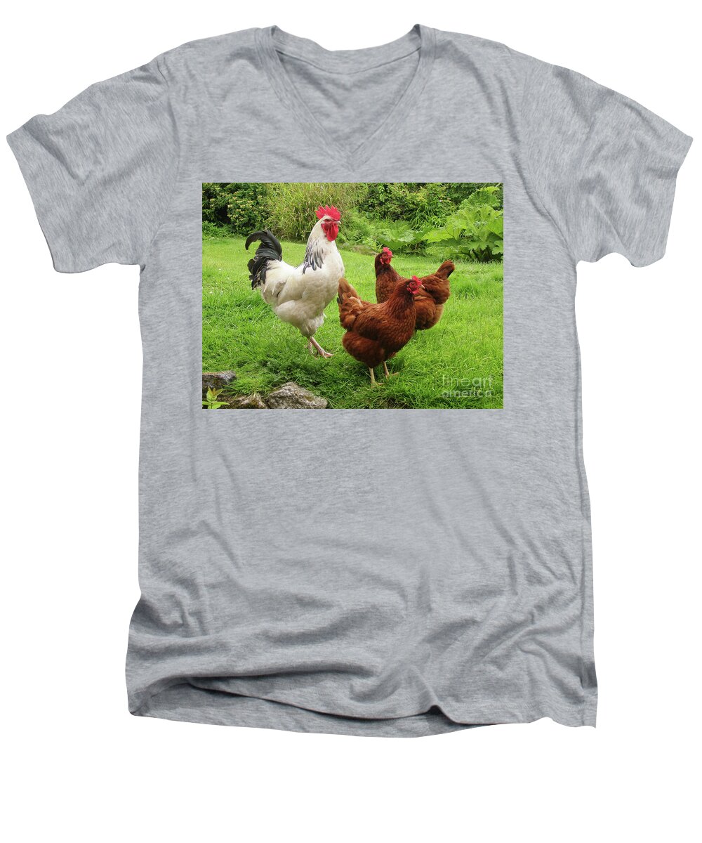 Chickens Men's V-Neck T-Shirt featuring the photograph The Rooster and His Hens by Terri Waters