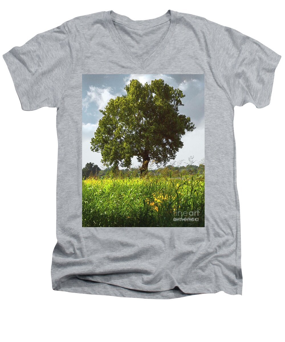 Landscape Men's V-Neck T-Shirt featuring the photograph The Shade Tree by Lena Wilhite