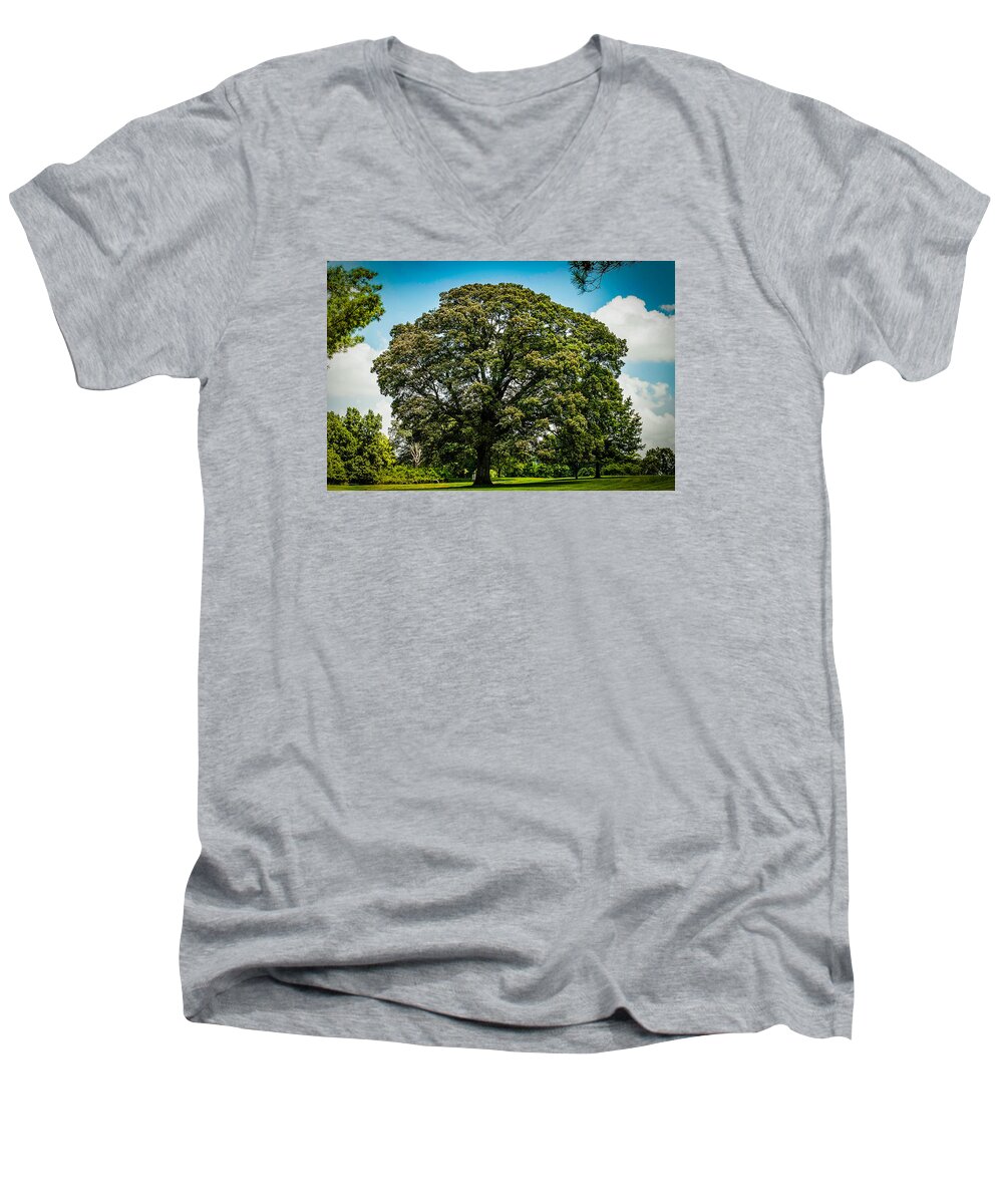 Tree Men's V-Neck T-Shirt featuring the photograph The Summer Tree by Kristy Creighton