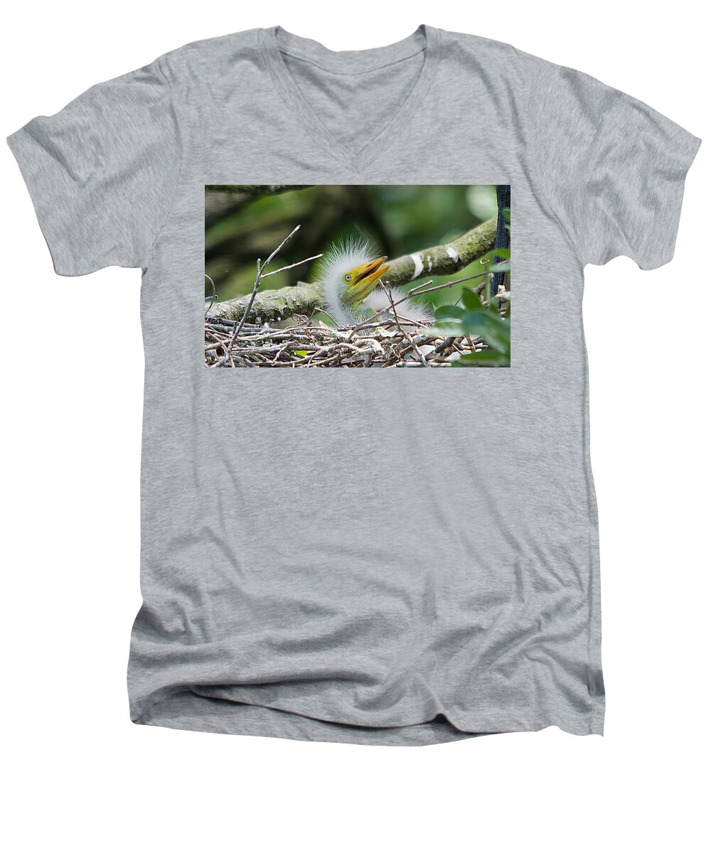 Wildlife Men's V-Neck T-Shirt featuring the photograph The World Is Full Of Surprises by Kenneth Albin