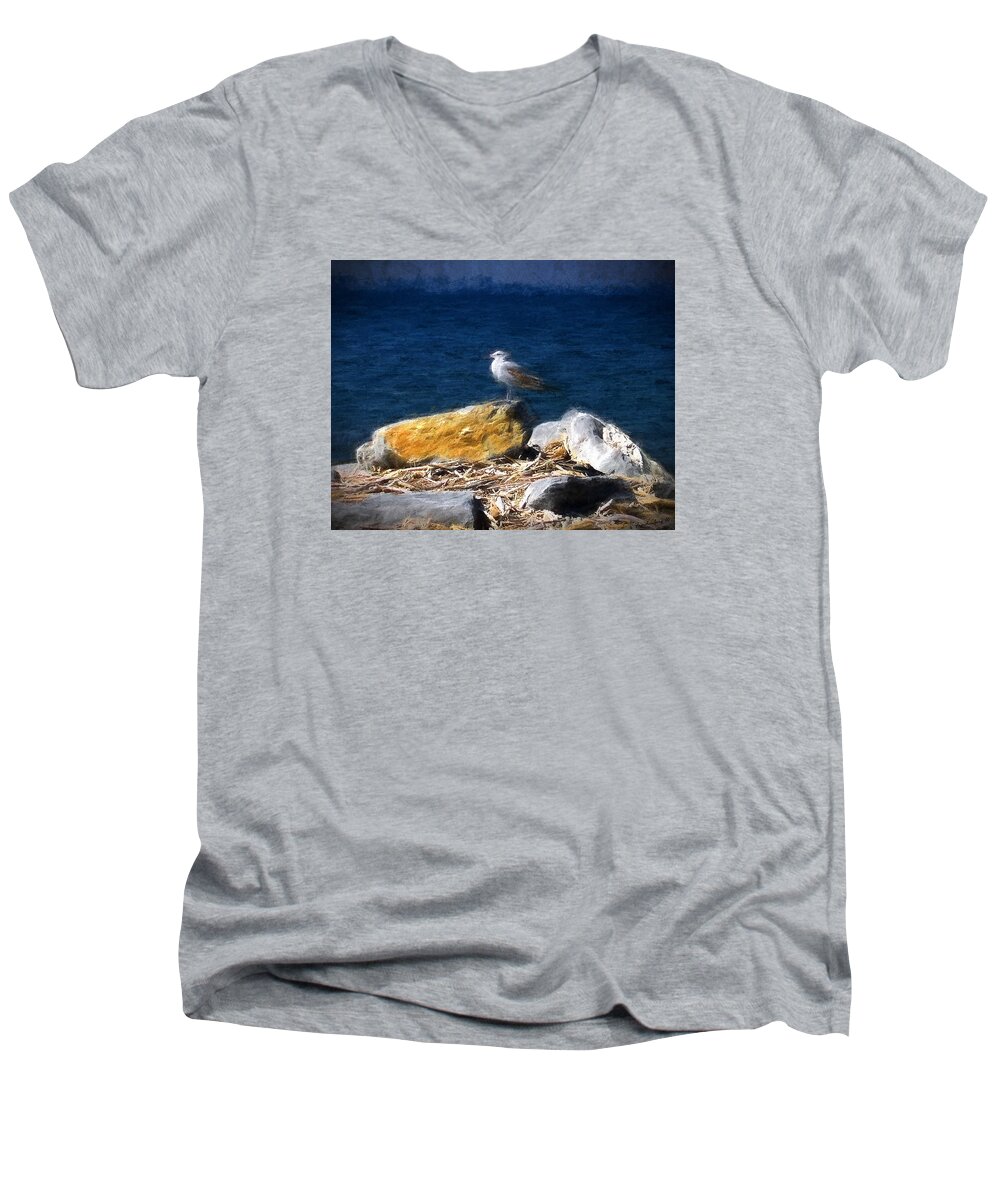 Seagull Men's V-Neck T-Shirt featuring the photograph This Gull Has Flown by John Freidenberg