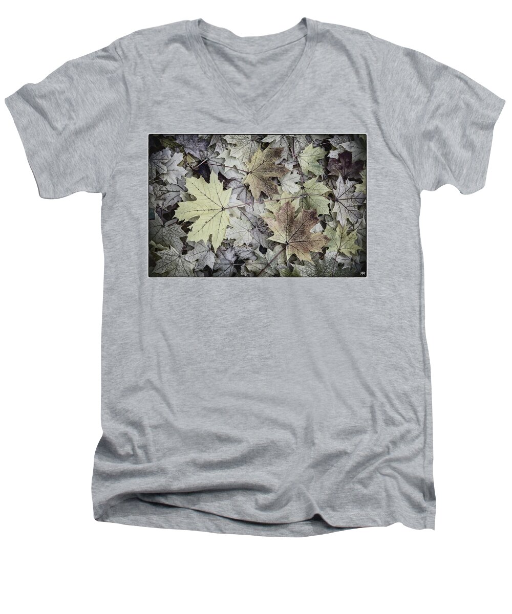 Leaves Men's V-Neck T-Shirt featuring the photograph Three Leaves by John Meader