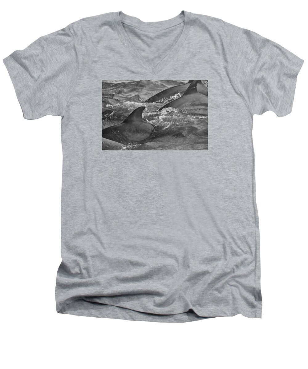 Dolphin Men's V-Neck T-Shirt featuring the photograph Three Peas in a Pod by Wild Fotos