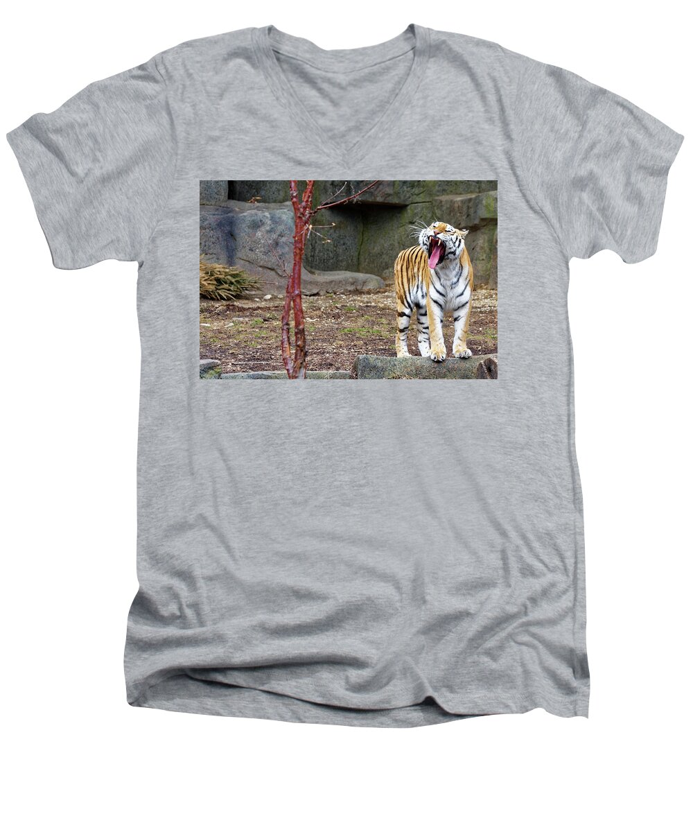Tiger Men's V-Neck T-Shirt featuring the photograph Tiger Tiger Burning Bright by Peter Ponzio