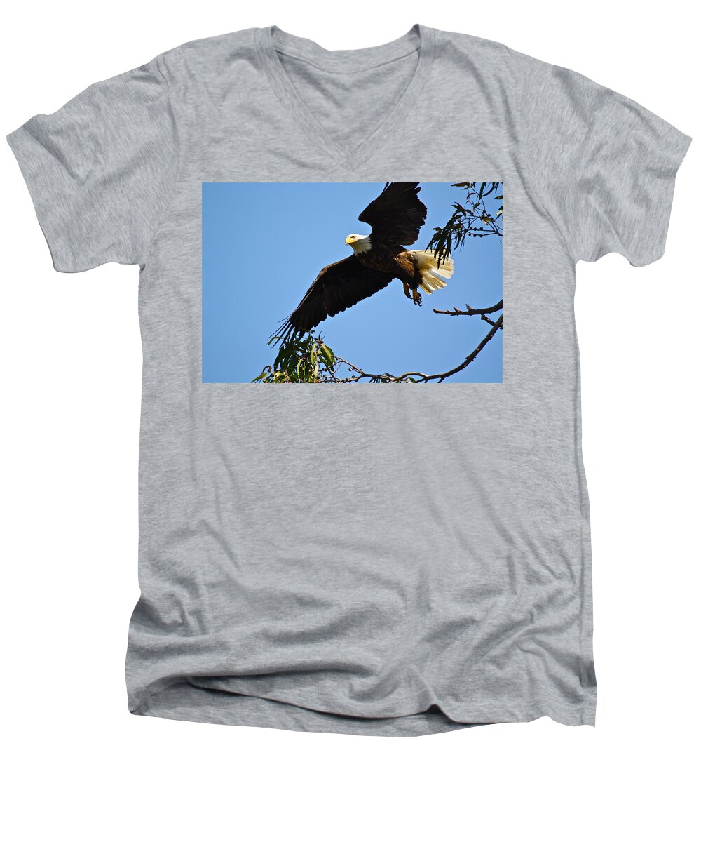 Birds Men's V-Neck T-Shirt featuring the photograph Time To Go by Diana Hatcher