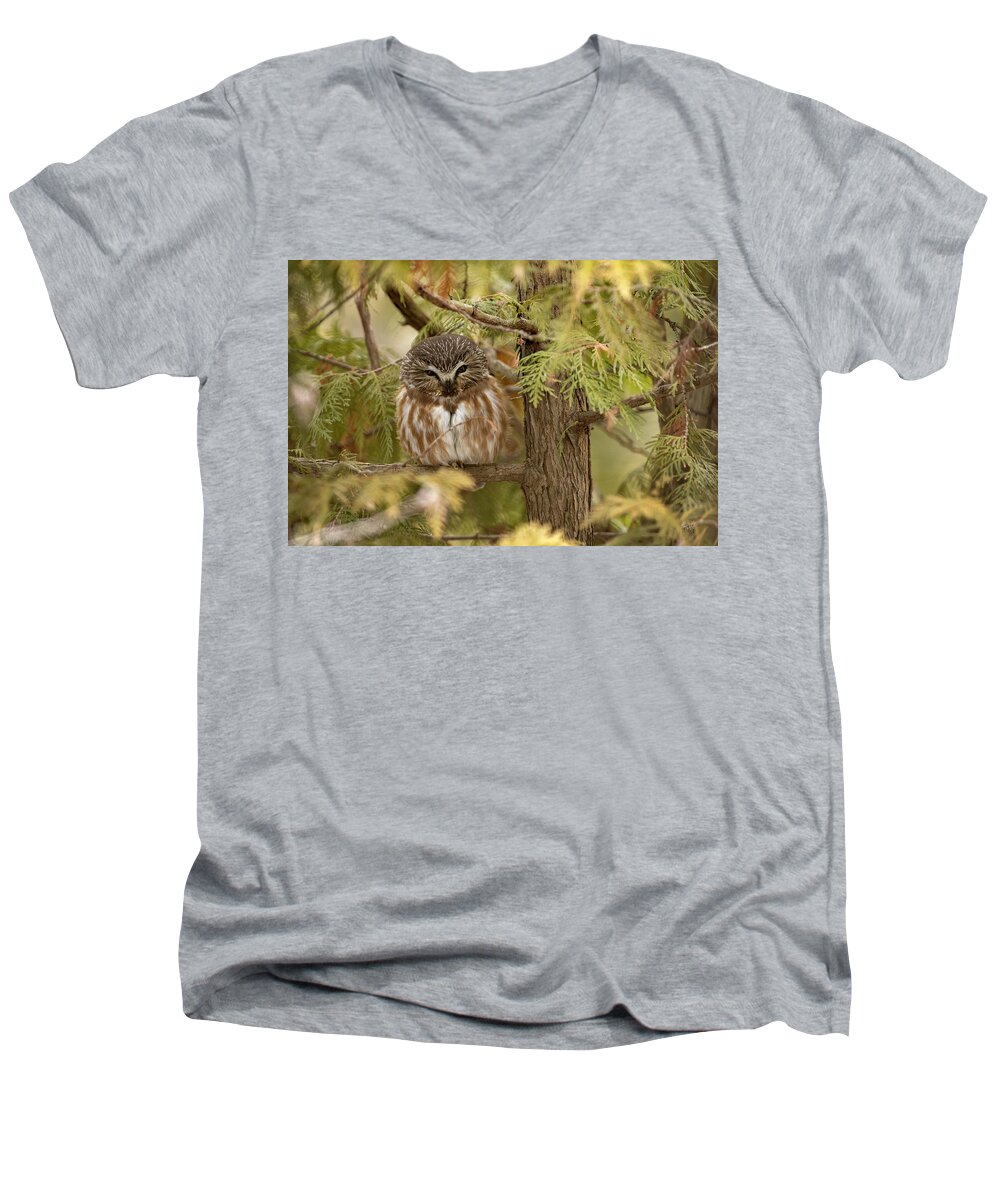 Owl Men's V-Neck T-Shirt featuring the photograph Treasures of the Forest by Everet Regal